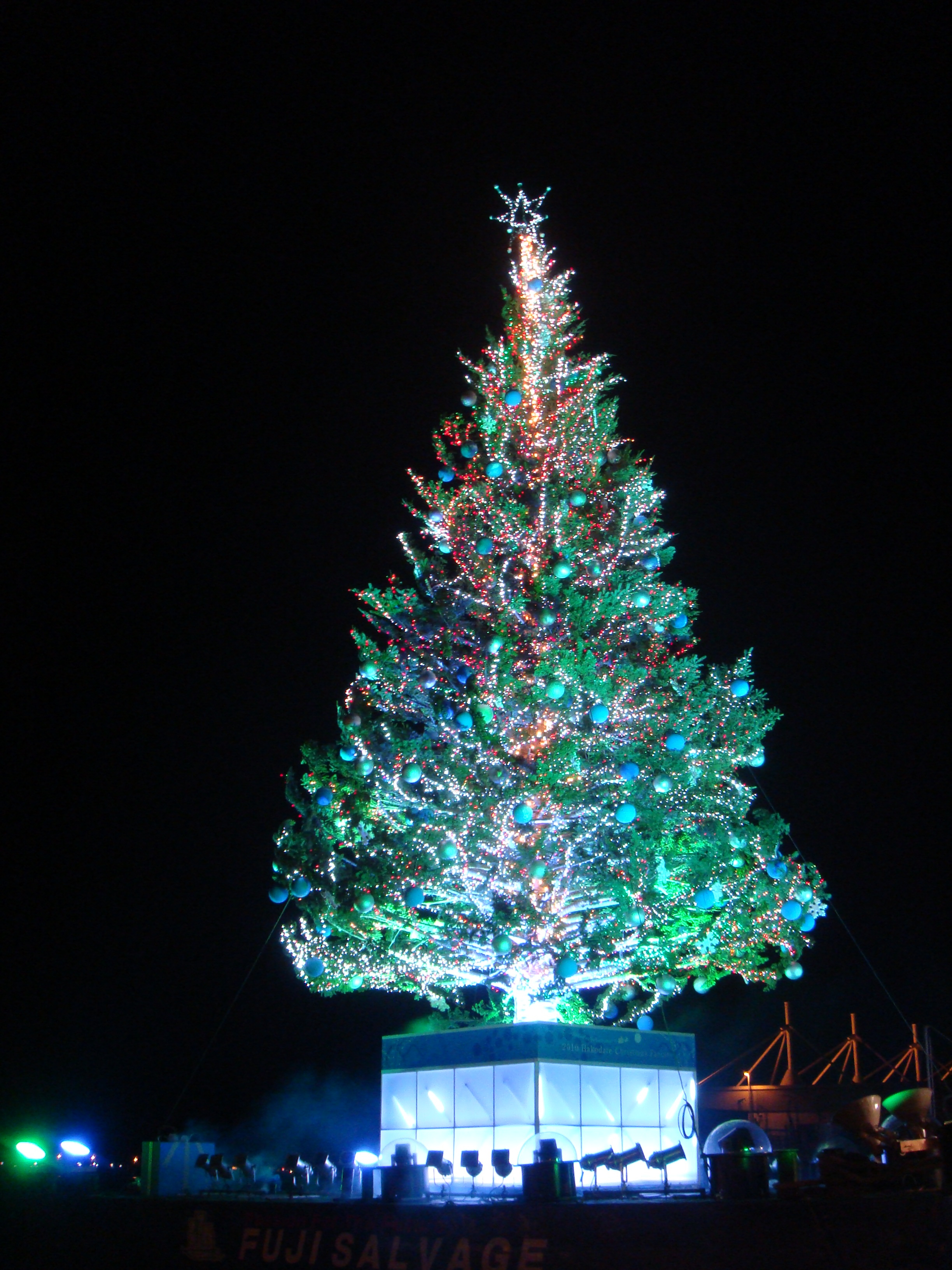 日本一クラスのクリスマスツリー 本当にね サクラサク